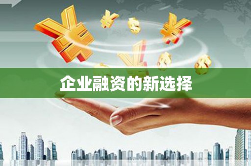 瑞昌企业融资的新选择