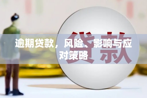瑞昌逾期贷款，风险、影响与应对策略