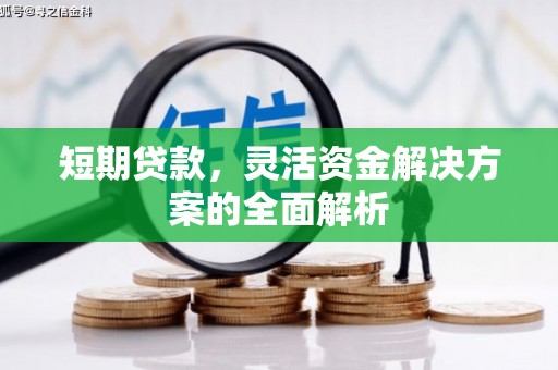 瑞昌短期贷款，灵活资金解决方案的全面解析