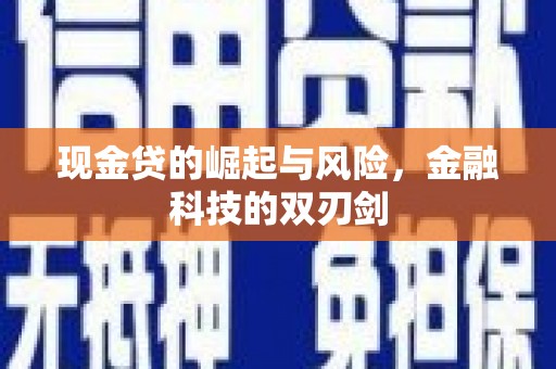 瑞昌现金贷的崛起与风险，金融科技的双刃剑