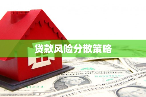 瑞昌贷款风险分散策略