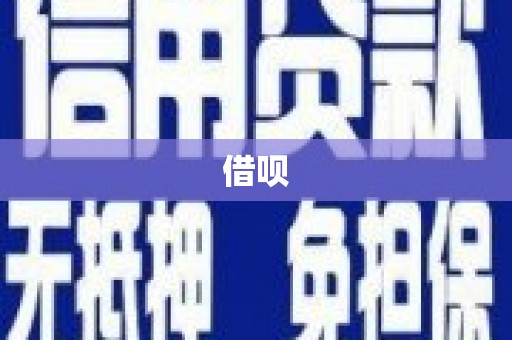 瑞昌借呗