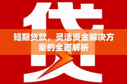 瑞昌短期贷款，灵活资金解决方案的全面解析