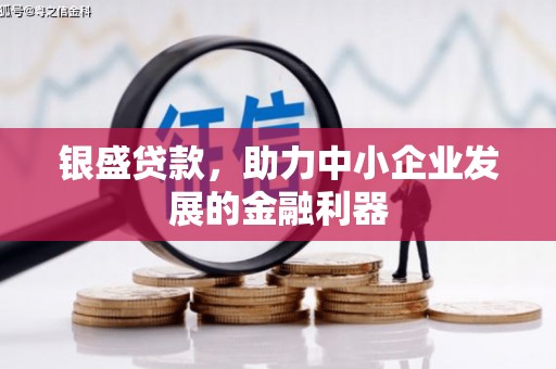 瑞昌银盛贷款，助力中小企业发展的金融利器
