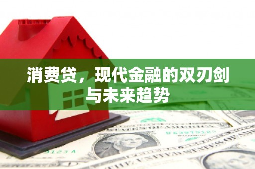 瑞昌消费贷，现代金融的双刃剑与未来趋势