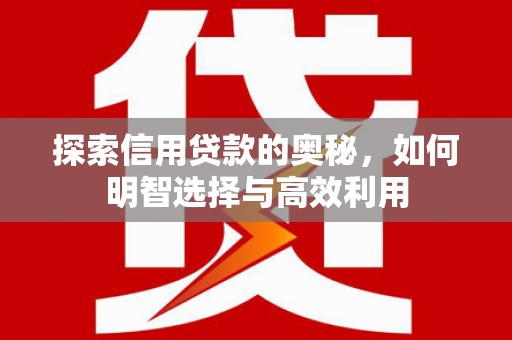 瑞昌探索信用贷款的奥秘，如何明智选择与高效利用