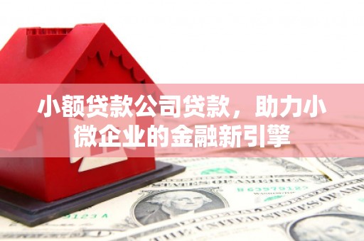 瑞昌小额贷款公司贷款，助力小微企业的金融新引擎