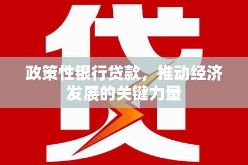 瑞昌政策性银行贷款，推动经济发展的关键力量
