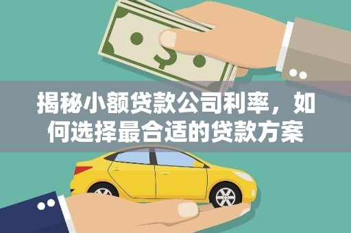瑞昌揭秘小额贷款公司利率，如何选择最合适的贷款方案