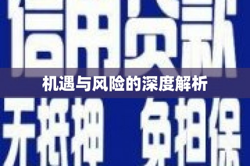 瑞昌机遇与风险的深度解析