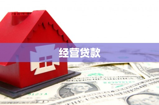 瑞昌经营贷款