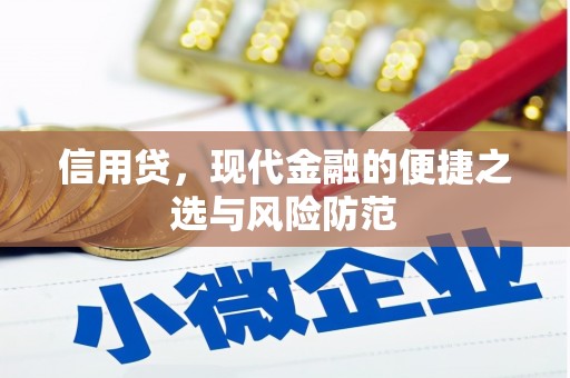瑞昌信用贷，现代金融的便捷之选与风险防范
