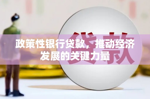 瑞昌政策性银行贷款，推动经济发展的关键力量