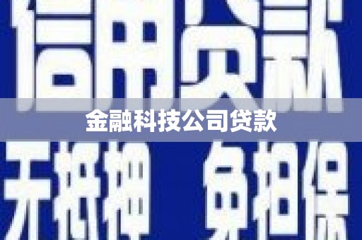 瑞昌金融科技公司贷款
