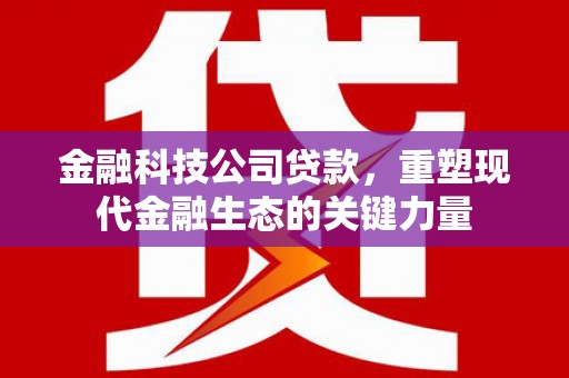瑞昌金融科技公司贷款，重塑现代金融生态的关键力量