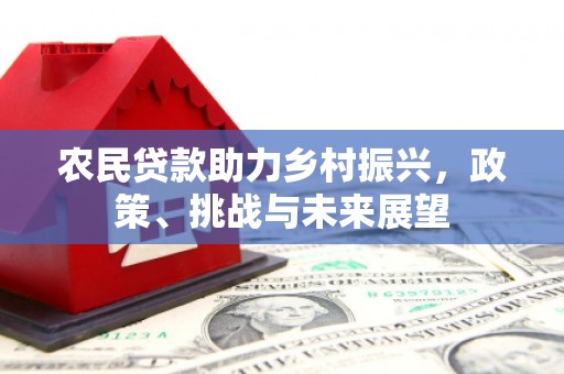 瑞昌农民贷款助力乡村振兴，政策、挑战与未来展望