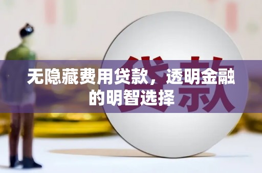 瑞昌无隐藏费用贷款，透明金融的明智选择