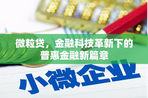 瑞昌微粒贷，金融科技革新下的普惠金融新篇章