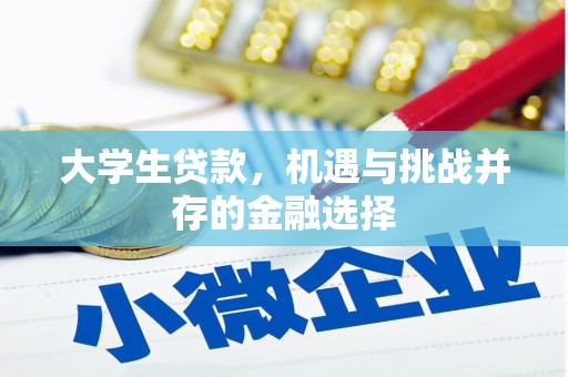 瑞昌大学生贷款，机遇与挑战并存的金融选择