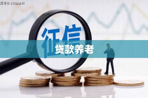 瑞昌贷款养老
