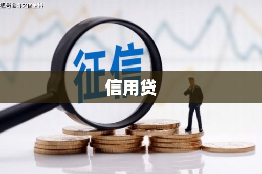 瑞昌信用贷