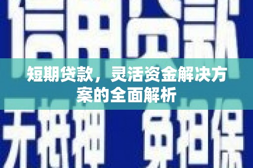 瑞昌短期贷款，灵活资金解决方案的全面解析