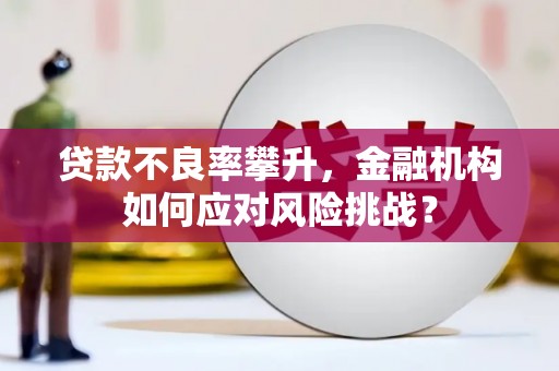 瑞昌贷款不良率攀升，金融机构如何应对风险挑战？