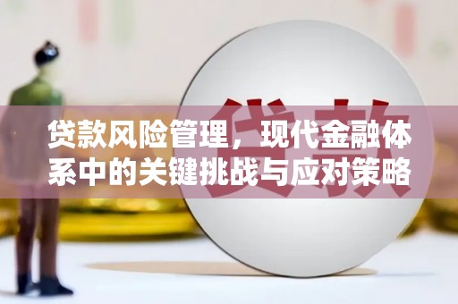 瑞昌贷款风险管理，现代金融体系中的关键挑战与应对策略