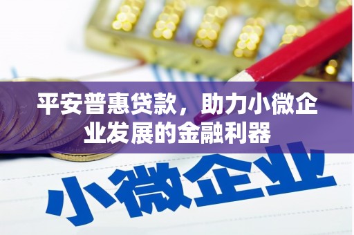 瑞昌平安普惠贷款，助力小微企业发展的金融利器