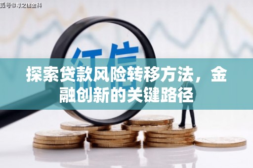 瑞昌探索贷款风险转移方法，金融创新的关键路径
