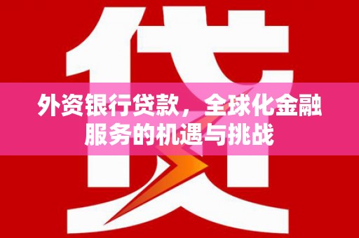 瑞昌外资银行贷款，全球化金融服务的机遇与挑战