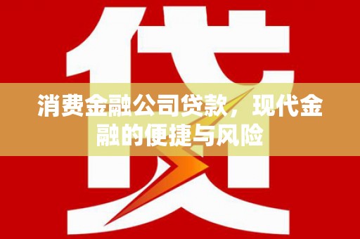 瑞昌消费金融公司贷款，现代金融的便捷与风险