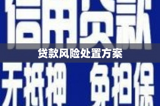 瑞昌贷款风险处置方案