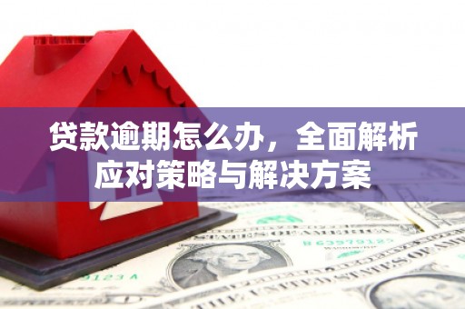 瑞昌贷款逾期怎么办，全面解析应对策略与解决方案