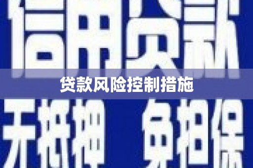 瑞昌贷款风险控制措施