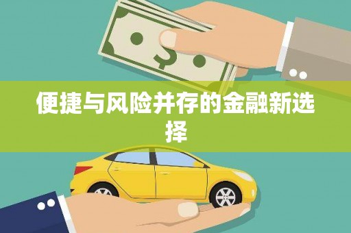 瑞昌便捷与风险并存的金融新选择