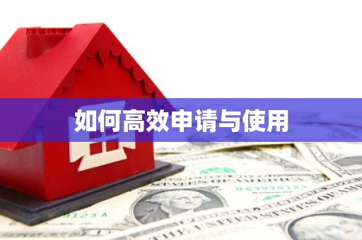 瑞昌如何高效申请与使用