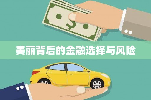 瑞昌美丽背后的金融选择与风险