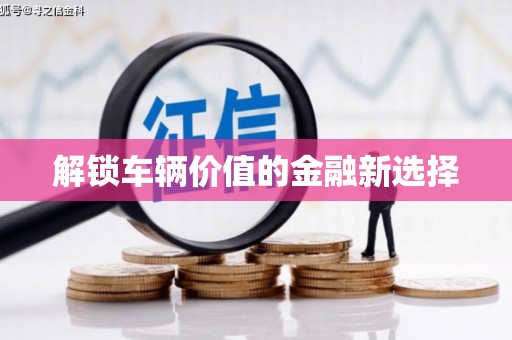 瑞昌解锁车辆价值的金融新选择