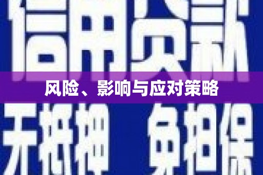 瑞昌风险、影响与应对策略