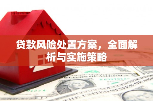 瑞昌贷款风险处置方案，全面解析与实施策略