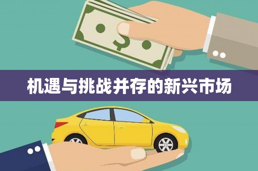 瑞昌机遇与挑战并存的新兴市场