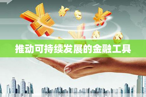 瑞昌推动可持续发展的金融工具