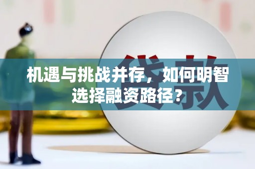 瑞昌机遇与挑战并存，如何明智选择融资路径？