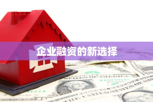 瑞昌企业融资的新选择