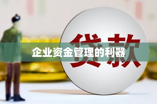 瑞昌企业资金管理的利器