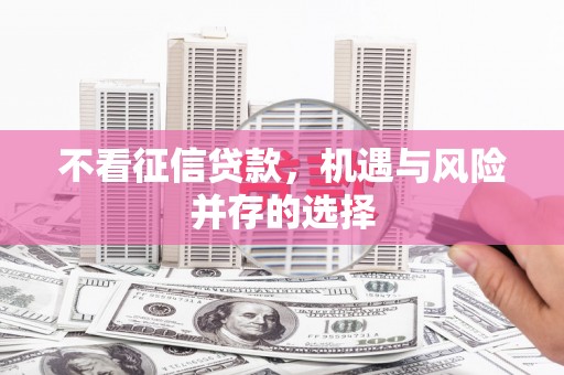 瑞昌不看征信贷款，机遇与风险并存的选择