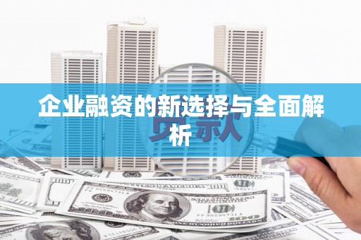 瑞昌企业融资的新选择与全面解析